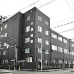 5-dead-and-over-100-hospitalized-from-recalled-japanese-health-supplements