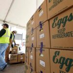 what-to-know-about-the-latest-bird-flu-outbreak-in-the-us