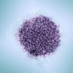 hepatitis-c-cases-dropped-in-the-us.-health-officials-unsure-if-it’s-a-blip-or-trend