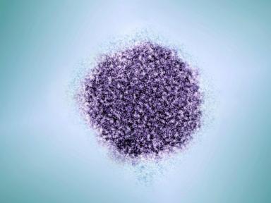 hepatitis-c-cases-dropped-in-the-us.-health-officials-unsure-if-it’s-a-blip-or-trend