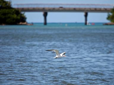 dredging-of-puerto-rico-port-begins-as-environmentalists-warn-of-threat