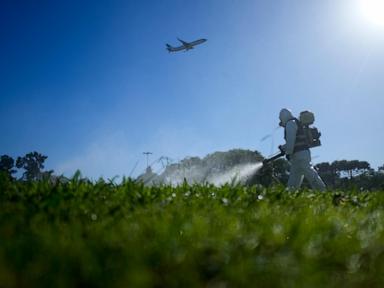 ap-week-in-pictures:-latin-america-and-caribbean