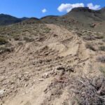 us-advances-review-of-nevada-lithium-mine-amid-concerns-over-endangered-wildflower