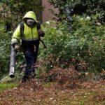 the-problem-with-leaf-blowers,-and-what-you-can-do-instead