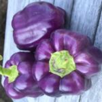 mediterranean-diet-or-not,-eating-seasonally-can-be-good-for-you
