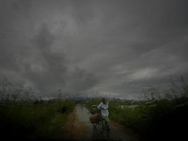 climate-change-makes-india’s-monsoons-erratic.-can-farmers-still-find-a-way-to-prosper?