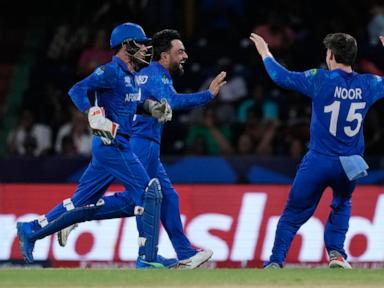afghanistan-stuns-australia-to-keep-twenty20-world-cup-dream-alive.-india-beat-bangladesh