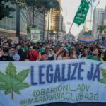brazil’s-supreme-court-decriminalizes-possession-of-marijuana-for-personal-use