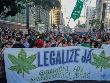 brazil’s-supreme-court-decriminalizes-possession-of-marijuana-for-personal-use