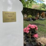 a-french-community-honors-a-teen-killed-by-police.-political-and-racial-tensions-are-the-backdrop