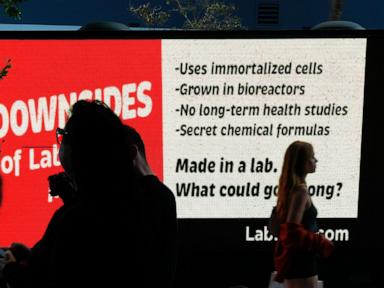 ‘lab-grown’-meat-maker-hosts-miami-tasting-party-as-florida-ban-goes-into-effect