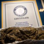 an-arizona-museum-tells-the-stories-of-ancient-animals-through-their-fossilized-poop