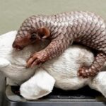 a-second-critically-endangered-chinese-pangolin-is-born-in-the-prague-zoo-in-less-than-2-years