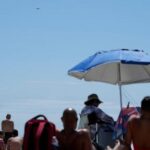 on-nyc-beaches,-angry-birds-fight-drones-patrolling-for-sharks-and-struggling-swimmers