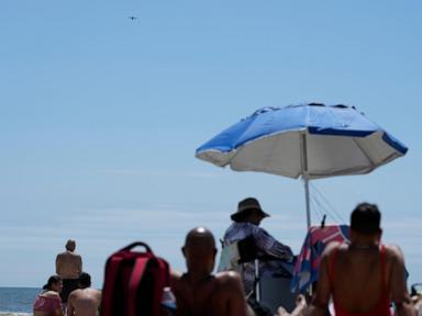 on-nyc-beaches,-angry-birds-fight-drones-patrolling-for-sharks-and-struggling-swimmers