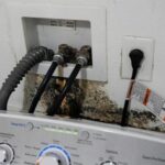 for-at-least-a-decade-quinault-nation-has-tried-to-escape-the-rising-pacific.-time-is-running-out