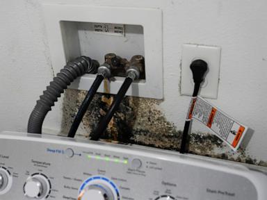 for-at-least-a-decade-quinault-nation-has-tried-to-escape-the-rising-pacific.-time-is-running-out