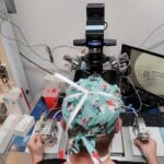 more-than-6-in-10-us.-adults-support-protecting-access-to-ivf,-ap-norc-poll-finds