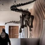 gnatalie-is-the-only-green-boned-dinosaur-found-on-the-planet.-she-will-be-on-display-in-la