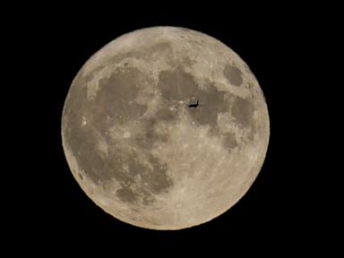 scientists-have-confirmed-a-cave-on-the-moon-that-could-be-used-to-shelter-future-explorers