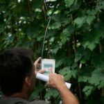 greenhouses-are-becoming-more-popular,-but-there’s-little-research-on-how-to-protect-workers