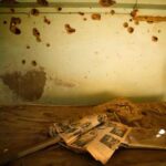 ap-photos:-remnants-of-lives-interrupted-by-war-half-a-century-ago-captured-in-cyprus’-buffer-zone