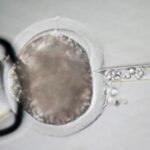 meet-some-of-the-world’s-cleanest-pigs,-raised-to-grow-kidneys-and-hearts-for-humans