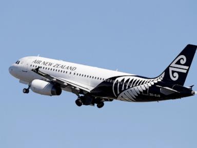air-new-zealand-scraps-its-2030-carbon-emissions-target,-saying-solutions-are-costly-and-scarce