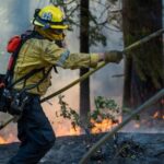 wildfire-smoke-may-be-worse-for-your-brain-than-other-air-pollution,-study-says