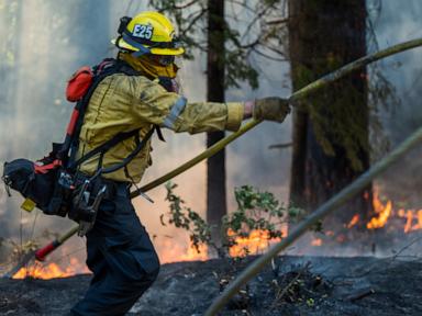 wildfire-smoke-may-be-worse-for-your-brain-than-other-air-pollution,-study-says