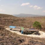 fossils-suggest-even-smaller-‘hobbits’-roamed-an-indonesian-island-700,000-years-ago