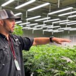 alabama-approved-a-medical-marijuana-program-in-2021-patients-are-still-waiting-for-it.
