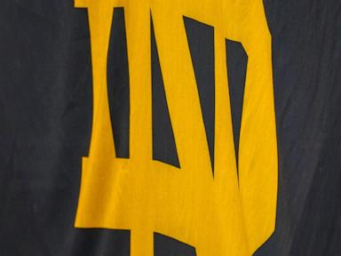 notre-dame-suspends-men’s-swim-team-for-one-year-after-review-finds-ncaa-gambling-violations