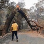 wildfires-are-growing-under-climate-change,-and-their-smoke-threatens-farmworkers,-study-says
