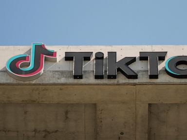tiktok-compares-itself-to-foreign-owned-american-news-outlets-as-it-fights-forced-sale-or-ban