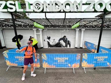 ‘banksy-woz-ere.’-london-zoo-is-the-latest-to-remove-street-artist’s-animal-mural-for-protection