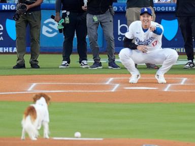 ohtani-and-his-dog-share-first-pitch-duties-before-dodgers-superstar-blasts-leadoff-homer