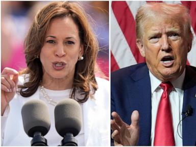 ai-is-helping-shape-the-2024-presidential-race.-but-not-in-the-way-experts-feared