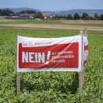 birds,-bees-and-ballots:-swiss-voters-to-decide-on-plan-to-bolster-country’s-fragile-biodiversity