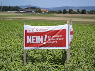 birds,-bees-and-ballots:-swiss-voters-to-decide-on-plan-to-bolster-country’s-fragile-biodiversity