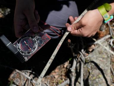 takeaways-on-ap’s-story-about-challenges-to-forest-recovery-and-replanting-after-wildfires