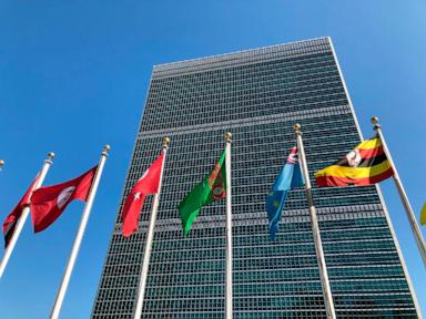 un-officials-hail-limited-pauses-in-fighting-in-gaza-to-allow-polio-vaccinations