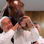 no-neigh-sayers:-live-horses-join-first-day-veterinary-students-for-anatomy-lecture-in-hungary