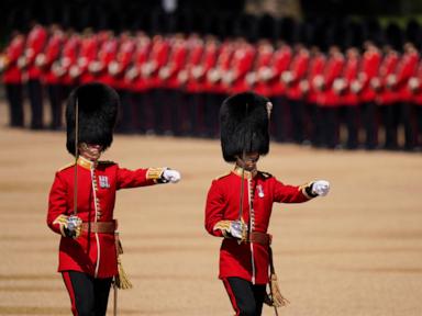 buckingham-palace-guard’s-distinctive-bearskin-caps-under-fire-by-animal-rights-group