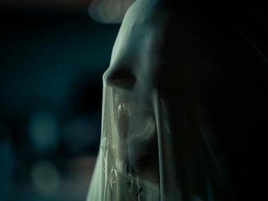 what-to-stream:-jelly-roll,-‘beetlejuice-beetlejuice,’-cate-blanchett-and-charli-xcx-remixes