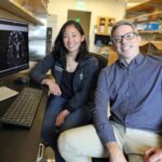 a-peek-inside-human-brain-shows-a-way-it-cleans-out-waste