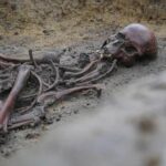 in-denmark,-50-well-preserved-viking-age-skeletons-have-been-unearthed