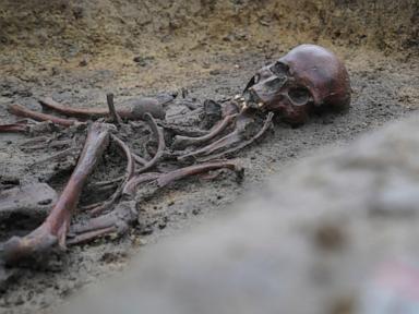 in-denmark,-50-well-preserved-viking-age-skeletons-have-been-unearthed