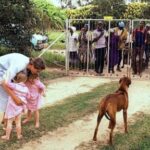 zimbabwe-to-compensate-white-farmers-who-lost-land-in-seizures-20-years-ago
