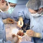 kidney-transplants-are-safe-between-people-with-hiv,-new-us-study-shows